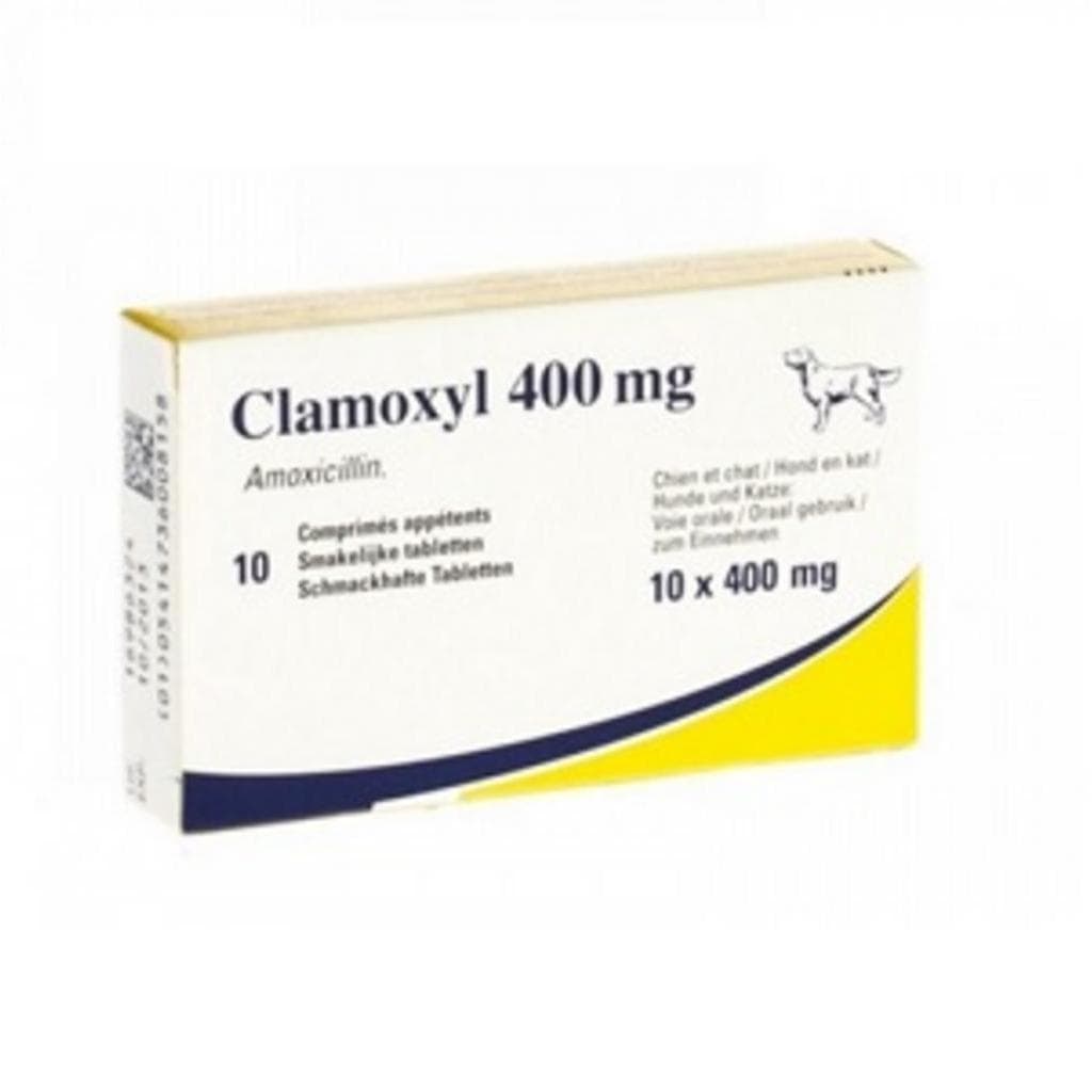 Clamoxyl Pal.Tab.*10cpr 400mg