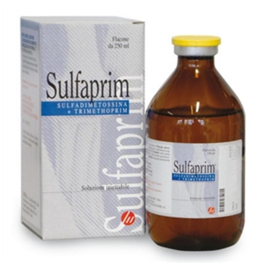 Sulfaprim*Iniet Fl 250ml