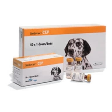 Nobivac Cep*50fl Pet 1d