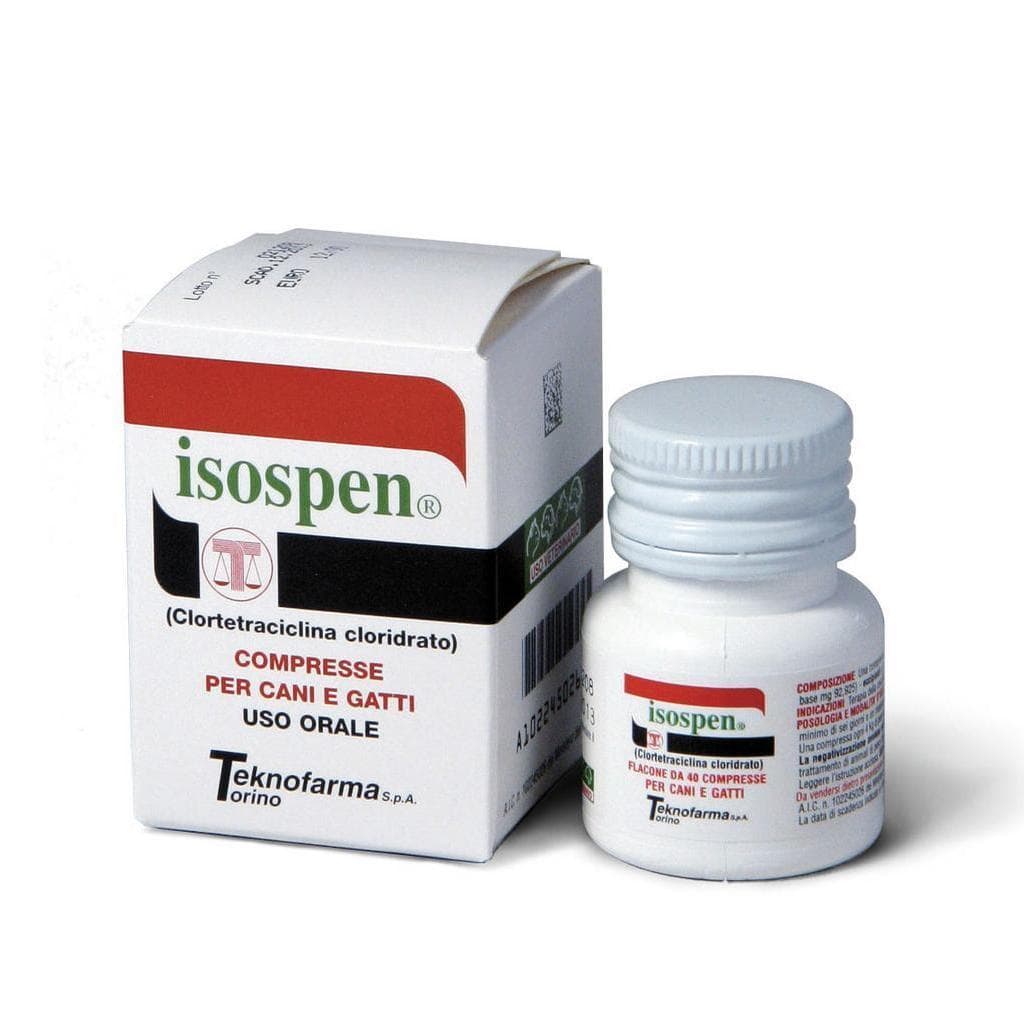 Isospen*40cpr 100mg Fl