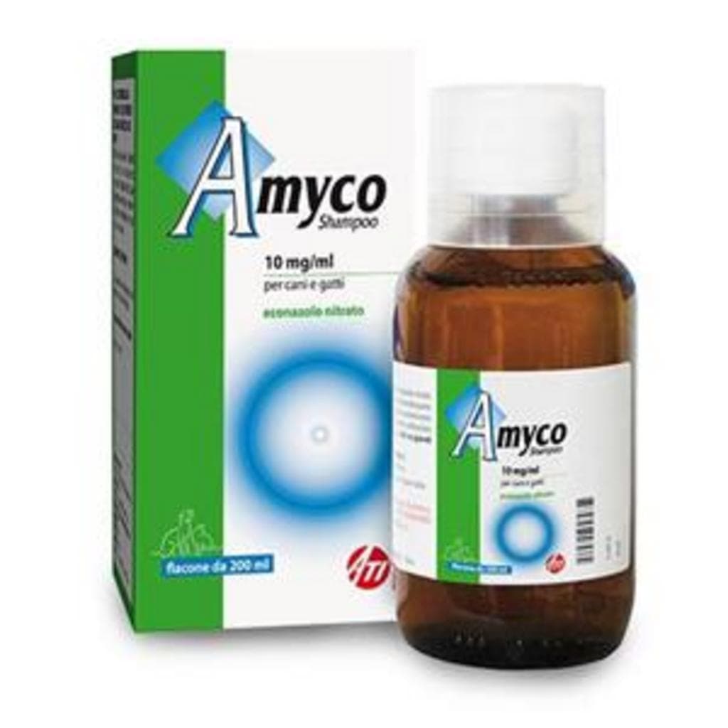 Amyco Shampoo*Fl 200ml