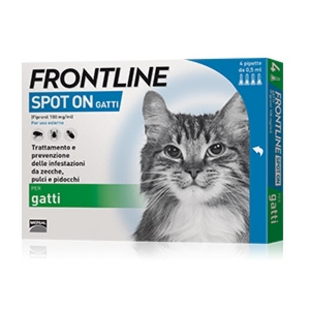 Frontline*4pip Gatti