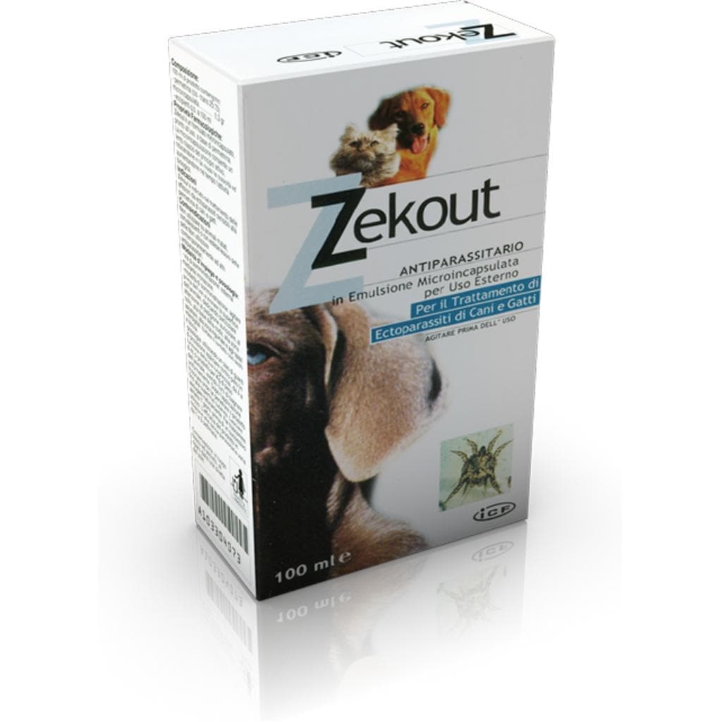 Icf Zekout 100ml