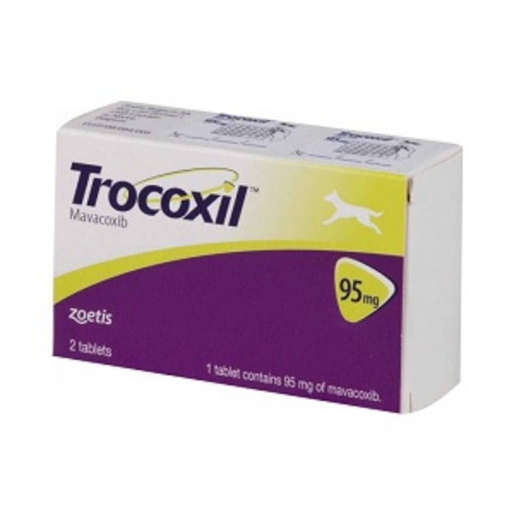 Trocoxil*2cpr Mast 95mg