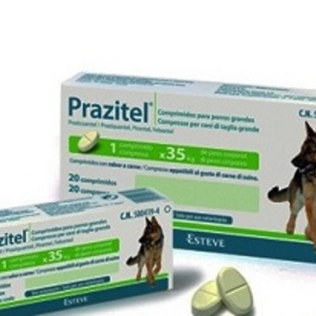 Prazitel*20cpr Cani T/Grande