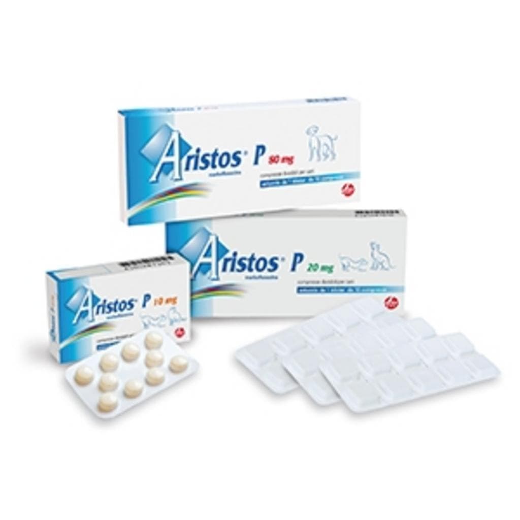Aristos P*10cpr 20mg