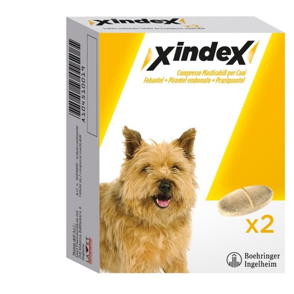 Xindex*2cpr Mast Cani