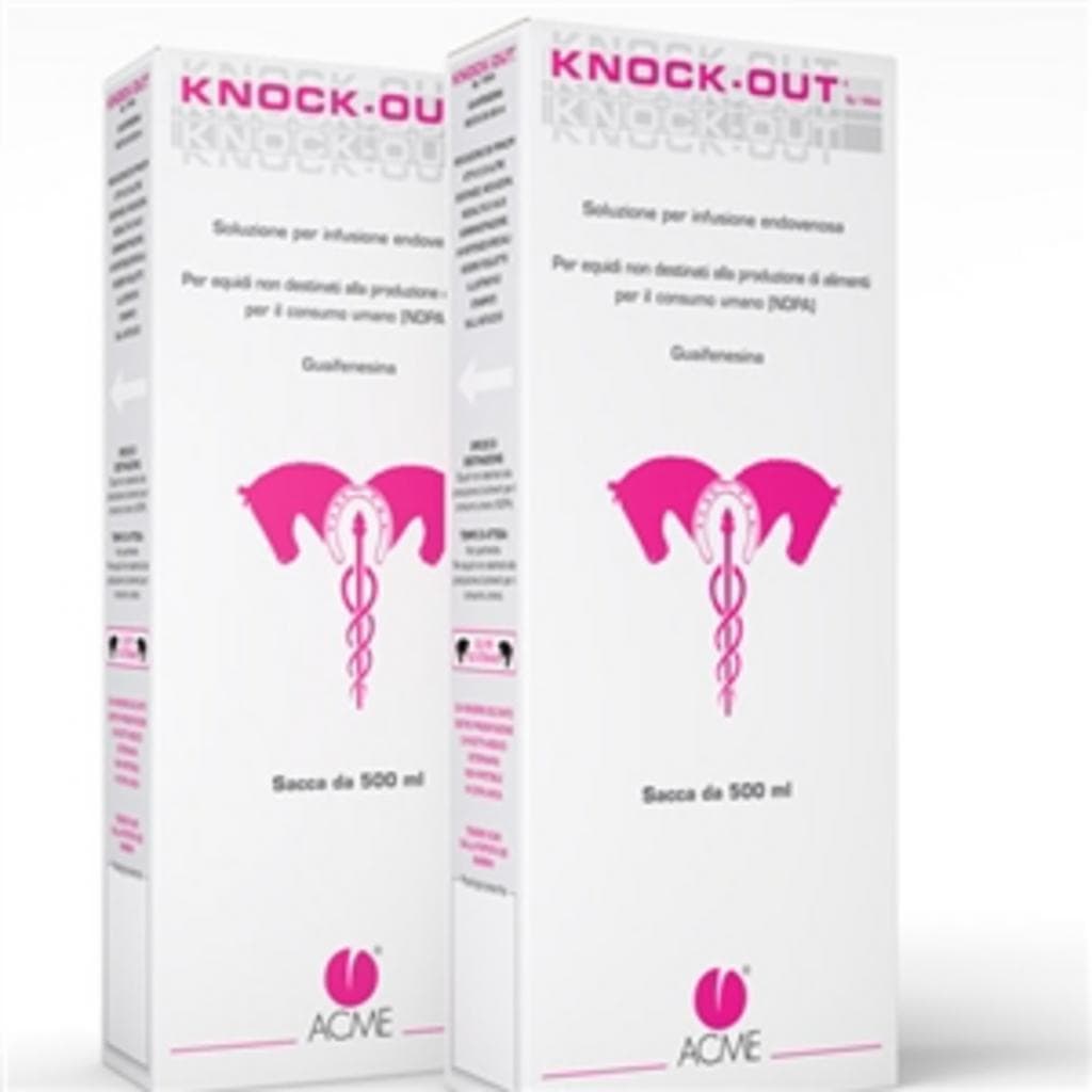 Knockout*Iv Sacca 500ml