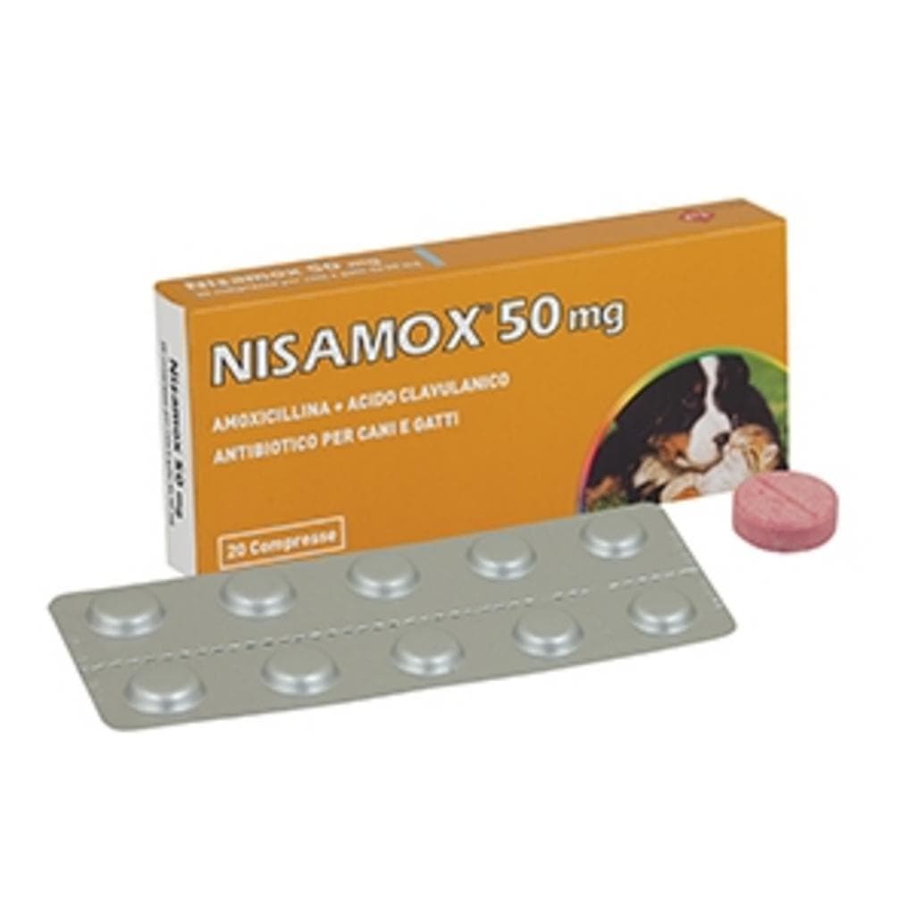 Nisamox*20cpr 250mg