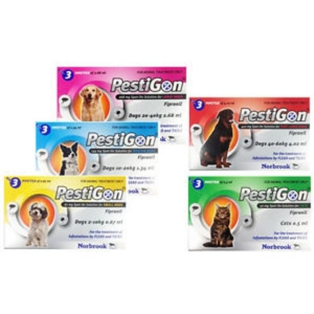 Pestigon*4pip Gatti