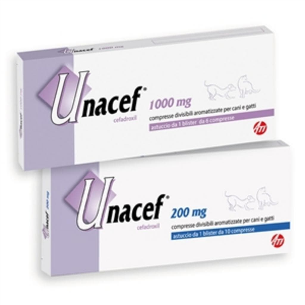 Unacef*10cpr Div 200mg