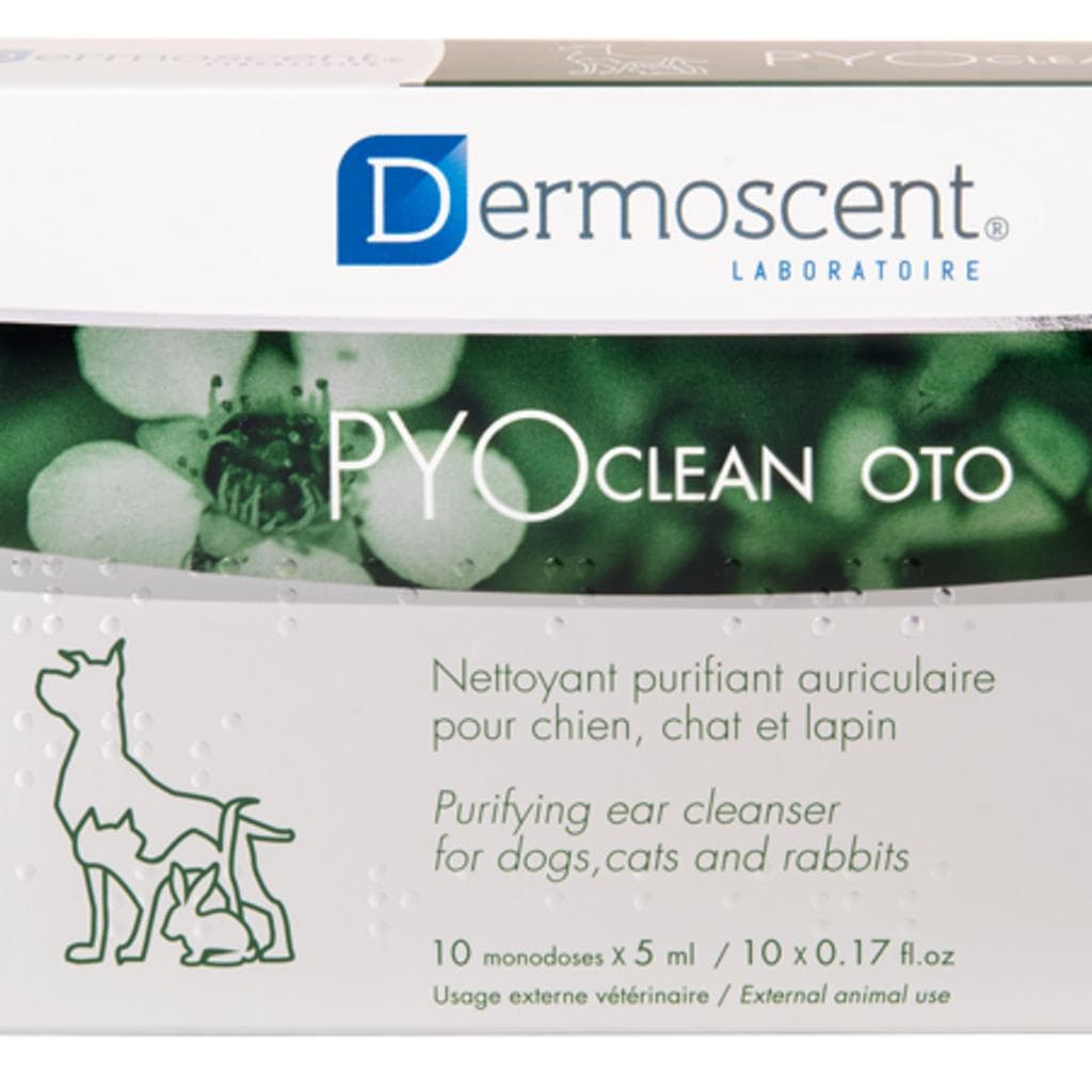 Der Pyoclean  Oto 10x5ml