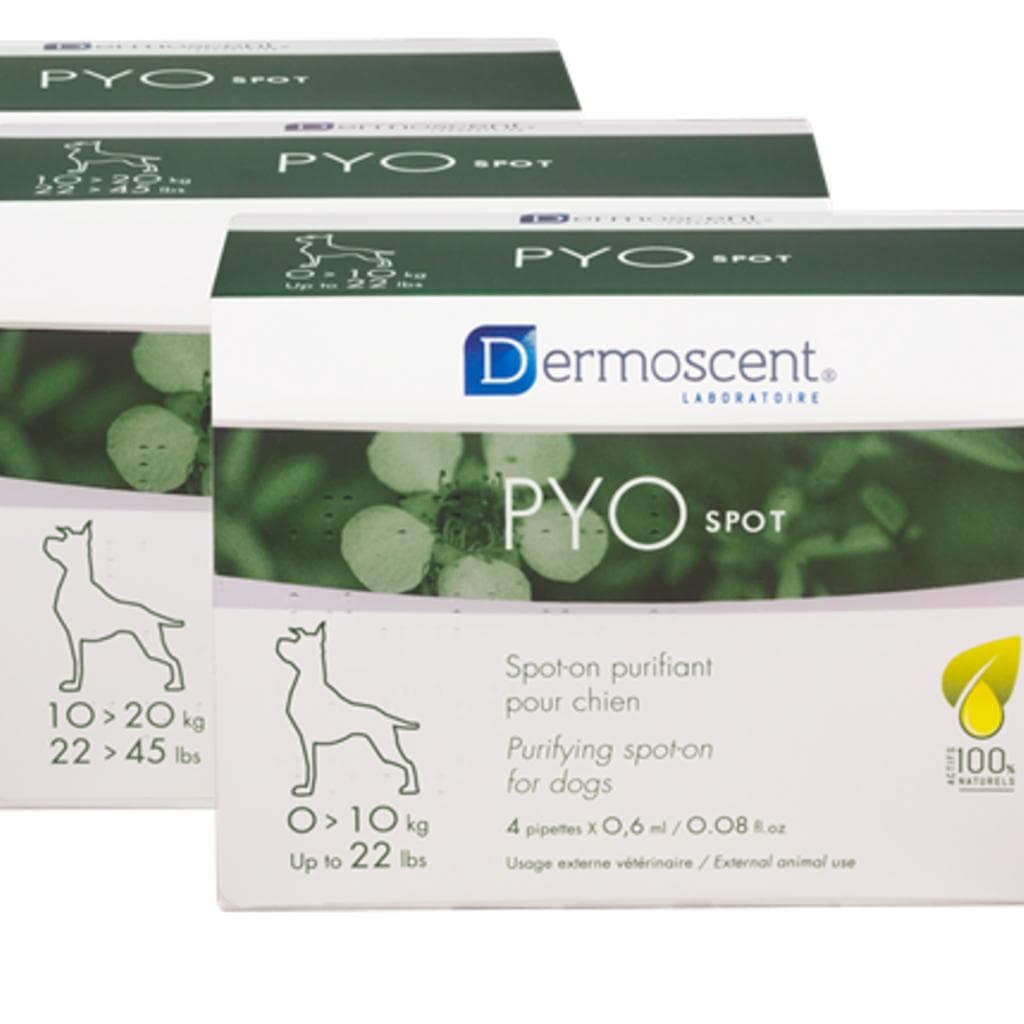 Der Pyospot  For Dogs 10-20 Kg