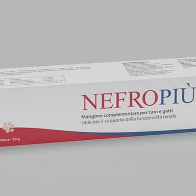 Aurora Biofarma Nefro Piu' Pasta 30gr