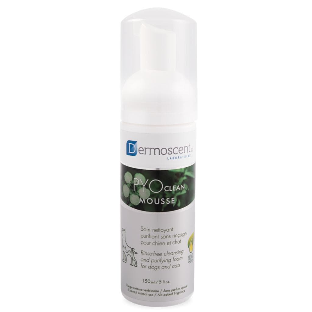 Der Pyoclean  Mousse 150ml