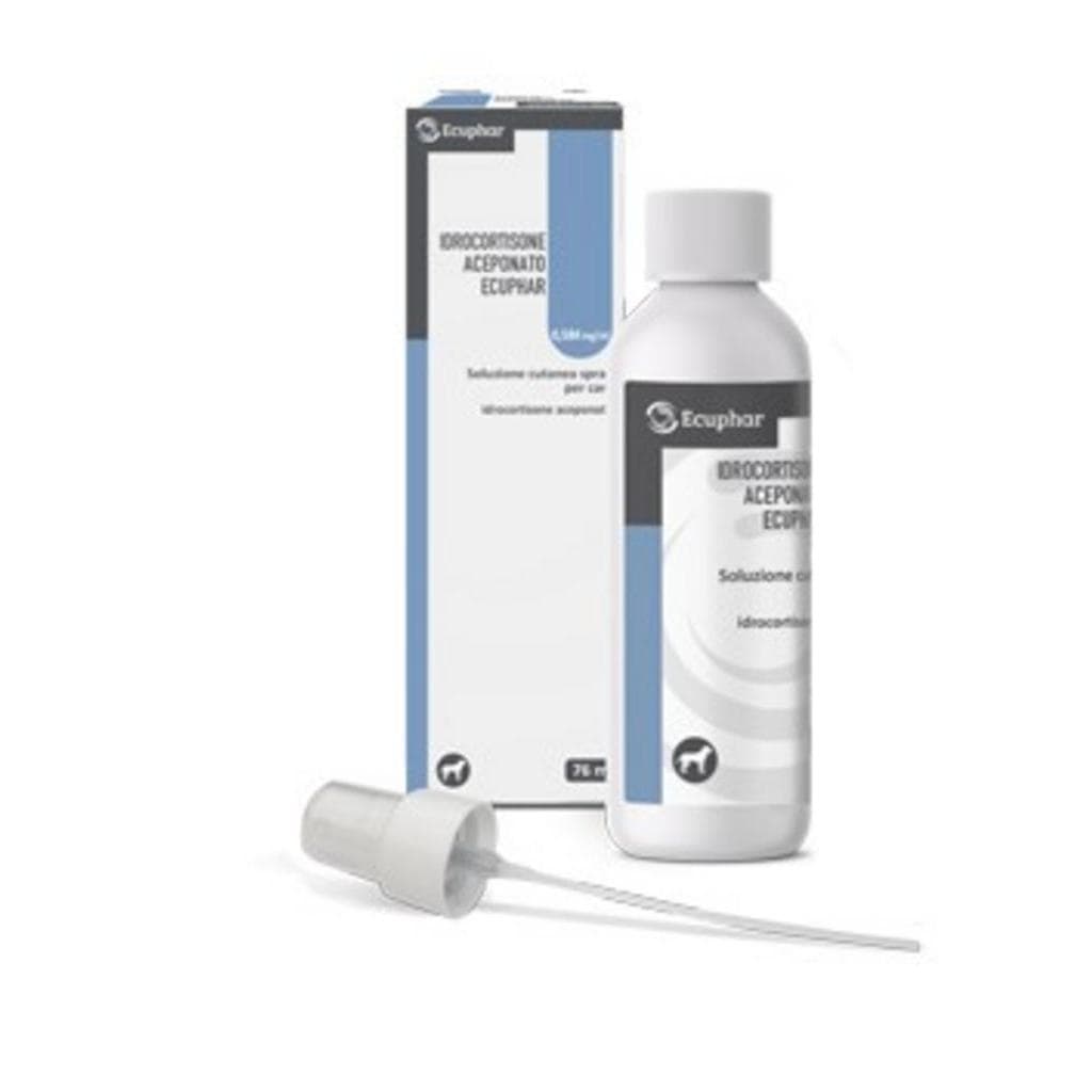 Idrocortisone Ac Ecu*Spr 76ml