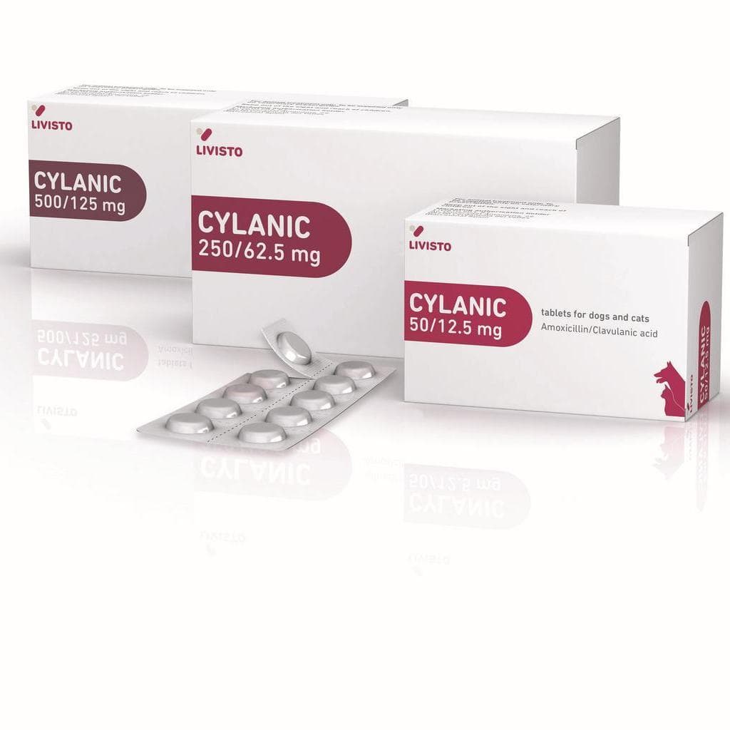 Cylanic*100cpr 50mg+12,5mg