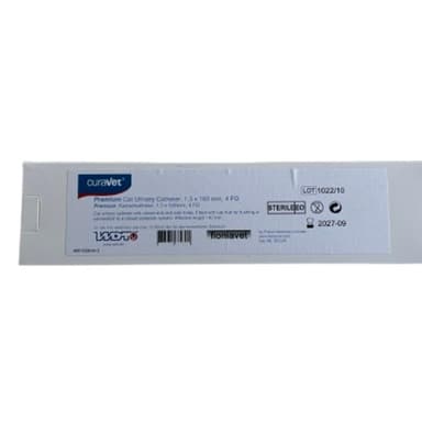 Fioniavet Catetere Gatto 1.0x130mm Con Mandrino