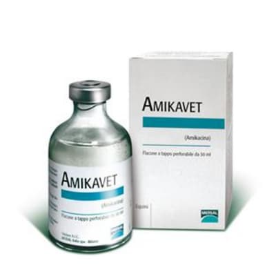 Amikavet*Iniet Fl 50ml