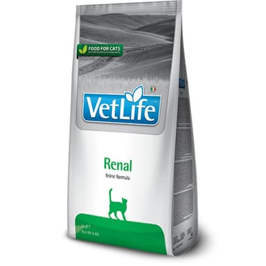 Vetlife Cat Renal 400gr