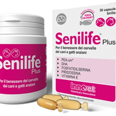 Innovet Senilife Plus 60